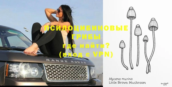 винт Навашино