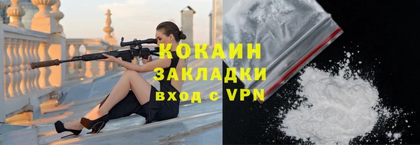 сатива Нефтекумск