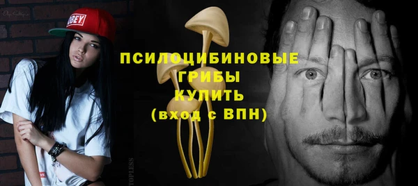 сатива Нефтекумск