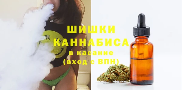сатива Нефтекумск