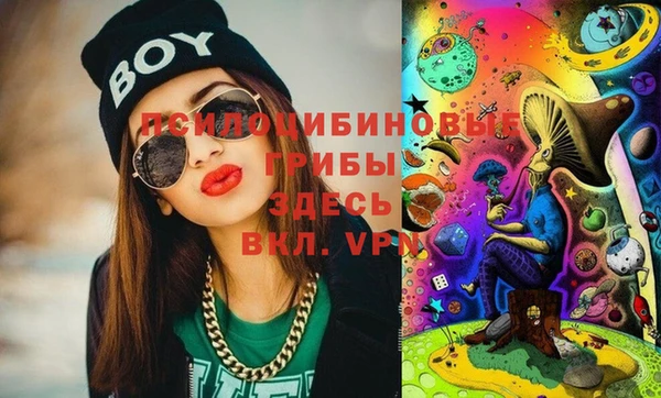 сатива Нефтекумск