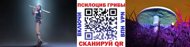 мега как войти Новоалександровск Псилоцибиновые грибы мухоморы